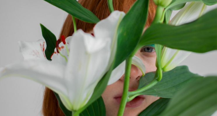 Breeding collaboration leads to new flower introduction Breeding collaboration leads to new flower introduction