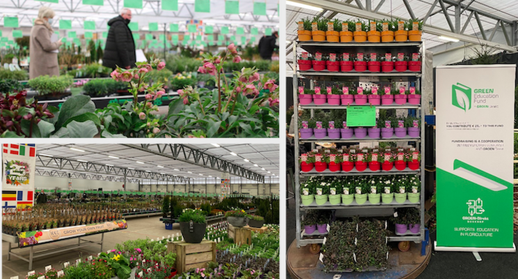 A green start of 2022 with GROEN-Direkt's Spring Showroom A green start of 2022 with GROEN-Direkt's Spring Showroom