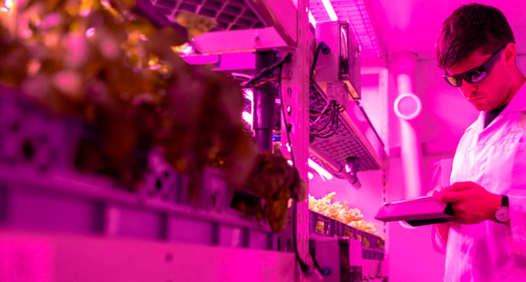 Walmart invests in vertical farming Walmart invests in vertical farming