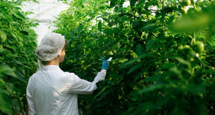 20 greenhouse disease resources just a click away 20 greenhouse disease resources just a click away