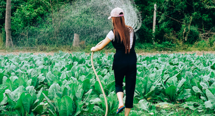 How irrigation technology is continuing to evolve How irrigation technology is continuing to evolve