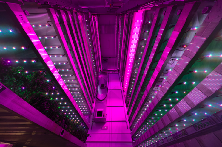 IGS to deliver first solar-powered commercial scale vertical farm IGS to deliver first solar-powered commercial scale vertical farm