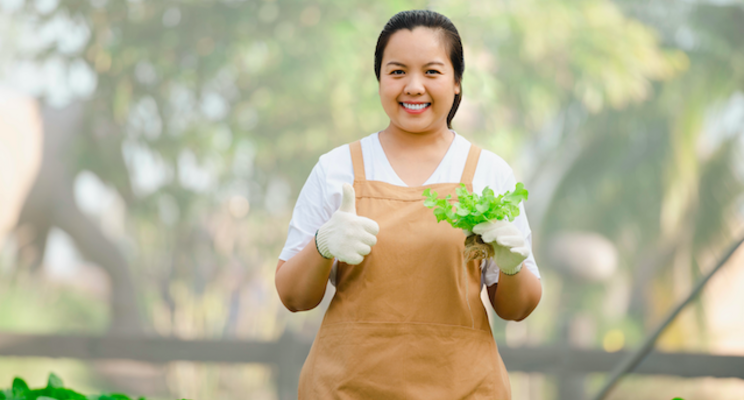 Everything you need to know about hydroponic mint Everything you need to know about hydroponic mint