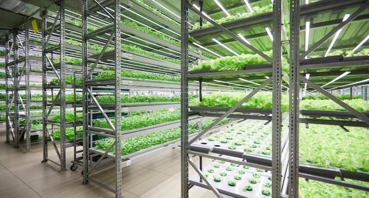 New vertical farming operation to create 125 jobs New vertical farming operation to create 125 jobs