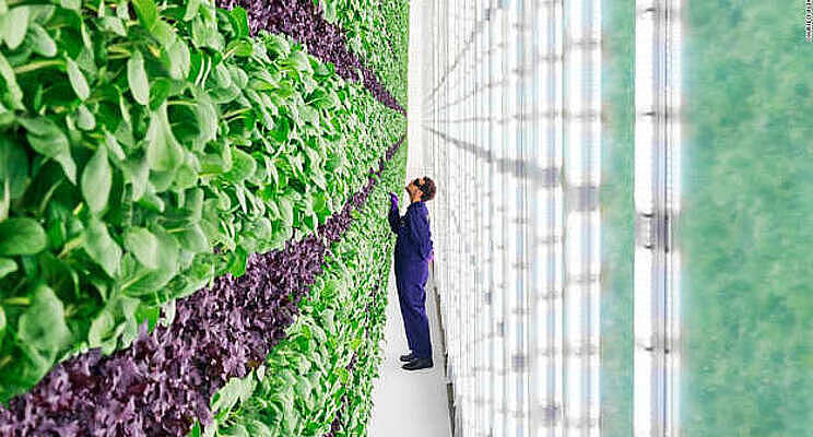 Walmart just invested big in vertical farming Walmart just invested big in vertical farming