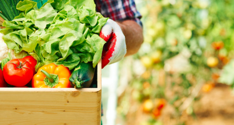 10 documentaries to watch about food sustainability 10 documentaries to watch about food sustainability