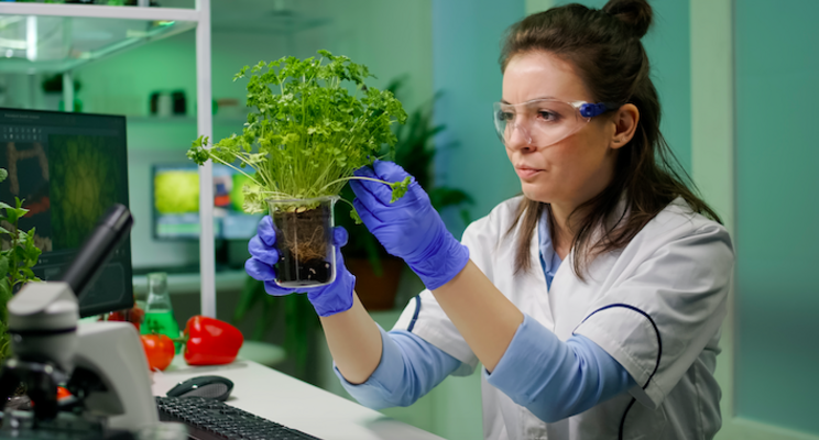 Experienced scientist to boost Sakata's biotechnology research Experienced scientist to boost Sakata's biotechnology research