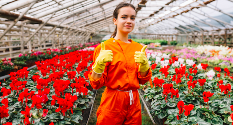 Researchers help CEA growers maximize water use Researchers help CEA growers maximize water use
