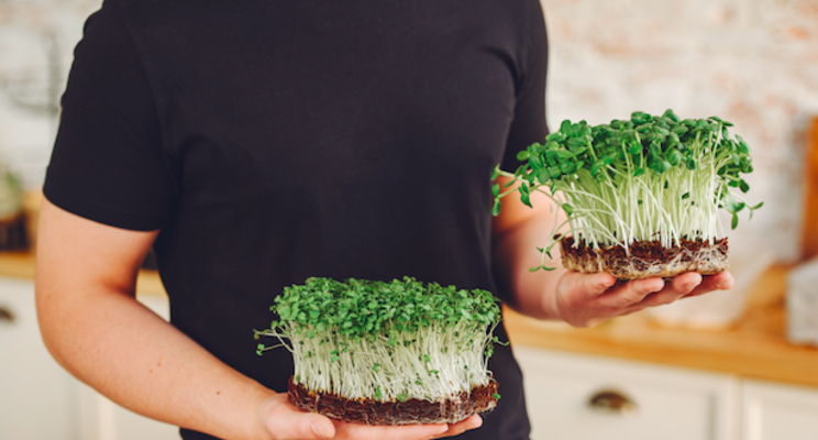 Q&A: Upward Farms wants to attract more microbes Q&A: Upward Farms wants to attract more microbes
