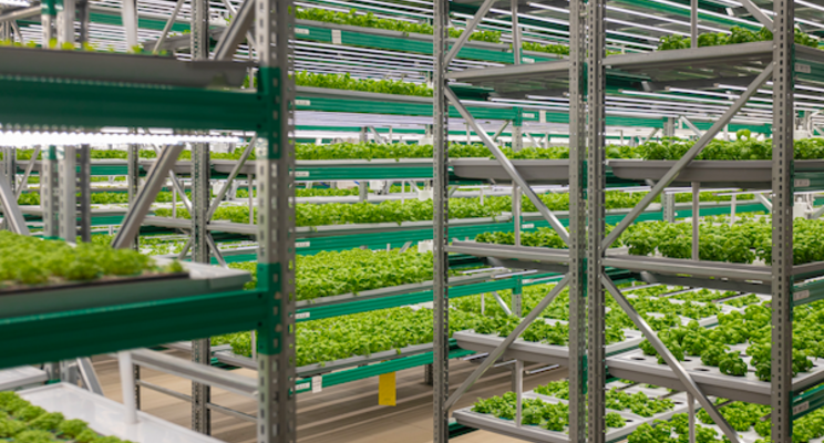 VF firm expands operations in Ohio VF firm expands operations in Ohio
