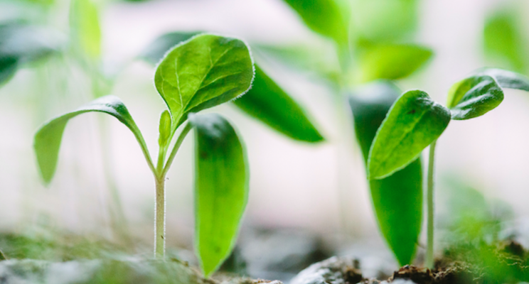 UK's Vertical Future harvests £21 million in Series A round UK's Vertical Future harvests £21 million in Series A round