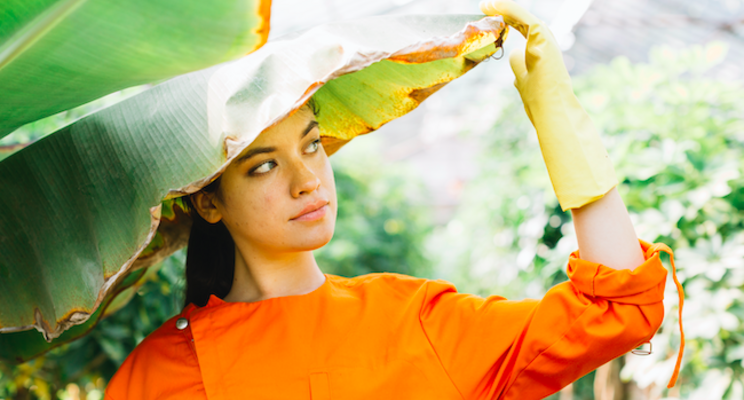 To feed a growing population, farmers look to the sun To feed a growing population, farmers look to the sun