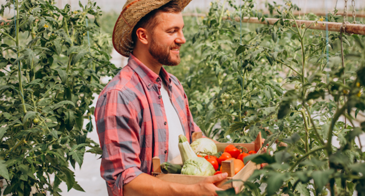 $227K to build year-round greenhouse in Calgary $227K to build year-round greenhouse in Calgary