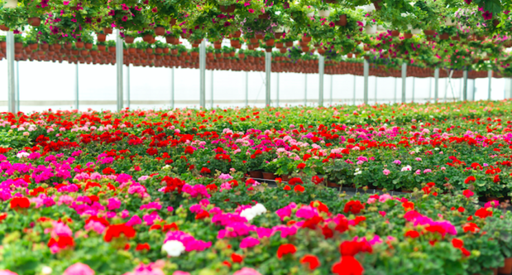 Vineland now offering biologicals research service Vineland now offering biologicals research service