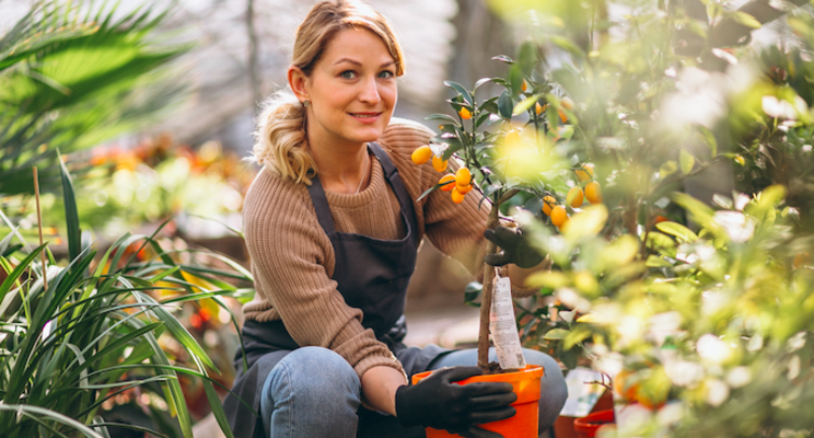 Which containers are most popular among growers? Which containers are most popular among growers?