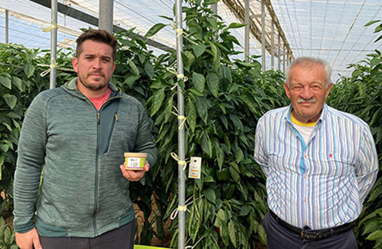 New biodegradable packaging to improve Spanish produce New biodegradable packaging to improve Spanish produce