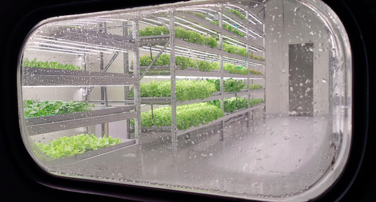 New ideas from vertical farming to fair pricing on health New ideas from vertical farming to fair pricing on health