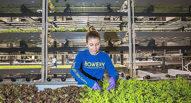Bowery Farming to create 100 jobs in Locust Grove