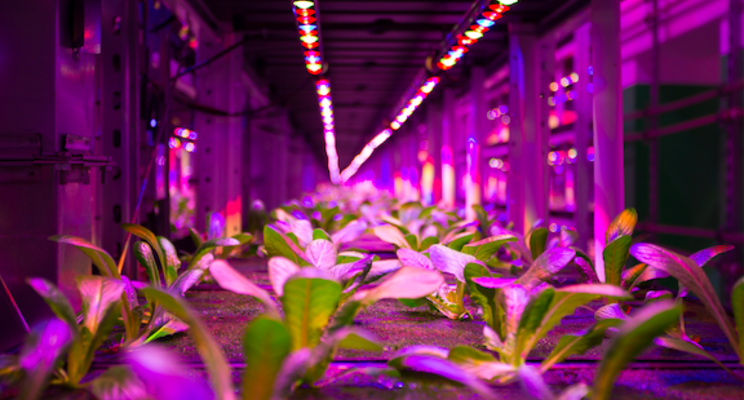 N.THING's up-to-date hybrid vertical farm at CES 2022