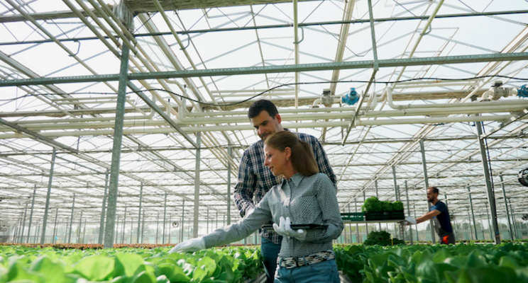Is your greenhouse or vertical farm operating sustainably?