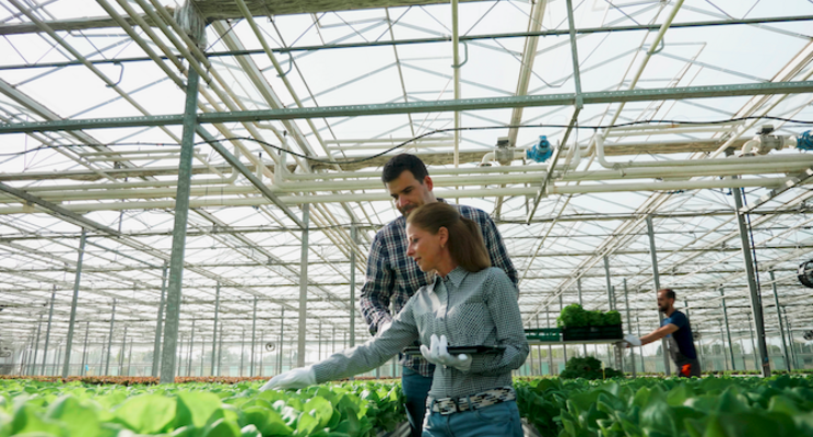 Is your greenhouse or vertical farm operating sustainably? Is your greenhouse or vertical farm operating sustainably?