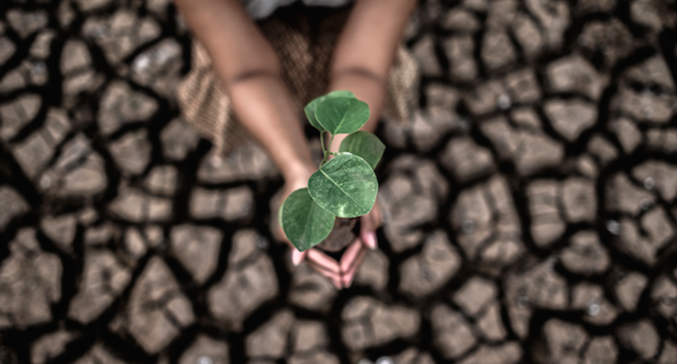 Bio Ag opportunities to discuss from New EU Soil Strategy Bio Ag opportunities to discuss from New EU Soil Strategy