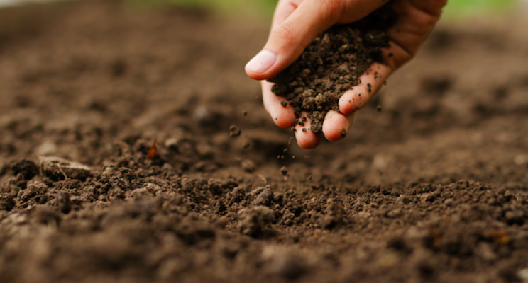 Thatchtec becomes Soilwise Thatchtec becomes Soilwise