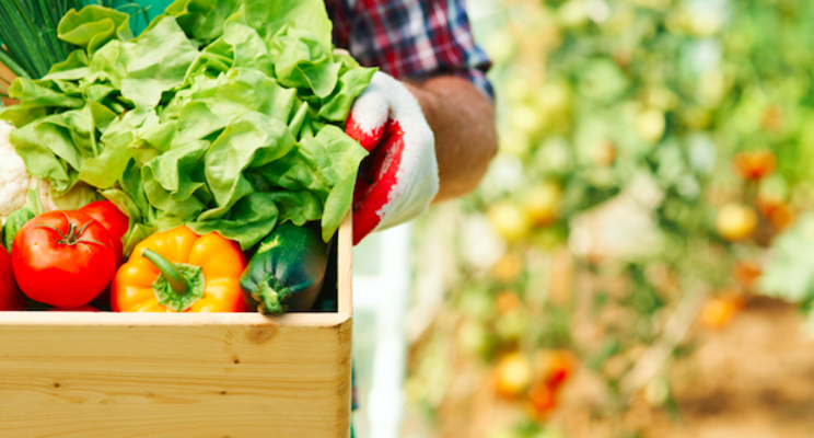 Top produce trends for 2032 Top produce trends for 2032