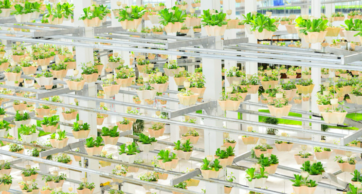 11 smart greenhouses up in DA research center in W. Visayas 11 smart greenhouses up in DA research center in W. Visayas