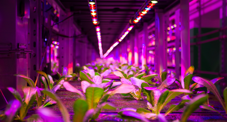 $1m grant to Pullman for vertical produce farm