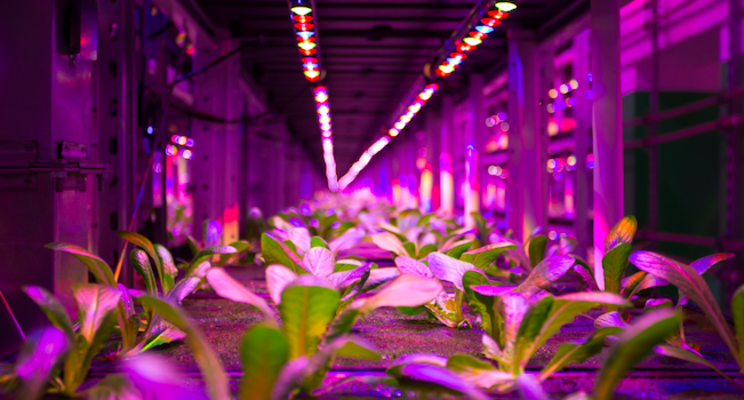 $1m grant to Pullman for vertical produce farm $1m grant to Pullman for vertical produce farm