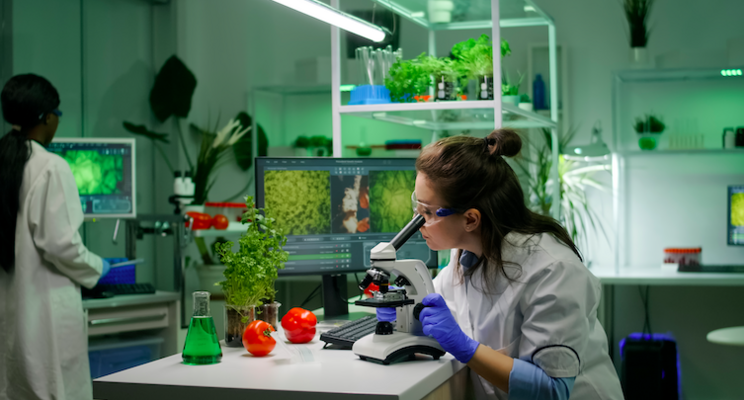 Scientists unwrap a solution to non-plastic packaging Scientists unwrap a solution to non-plastic packaging