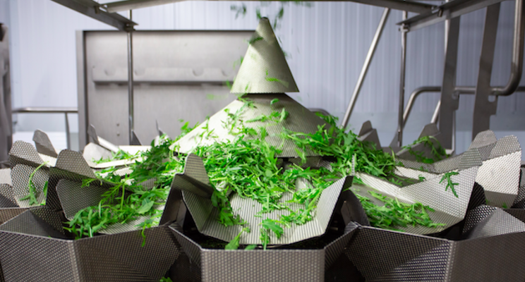 In-store farm concept yields healthy harvest In-store farm concept yields healthy harvest