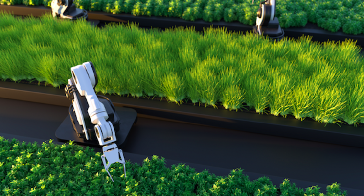 Engineers bring a soft touch to commercial robotics Engineers bring a soft touch to commercial robotics