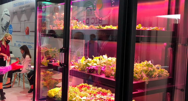 How vertical farming will shape the post pandemic