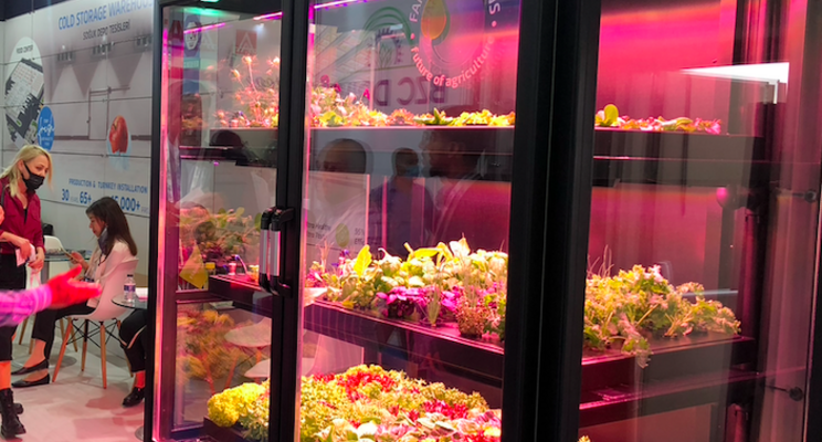 How vertical farming will shape the post pandemic How vertical farming will shape the post pandemic