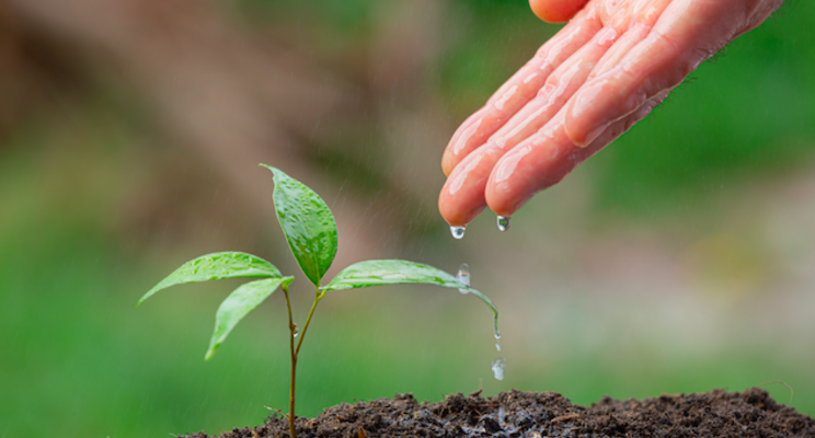Is soil carbon agriculture's secret weapon? Is soil carbon agriculture's secret weapon?