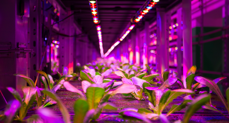 Quebec company takes vertical farming underground