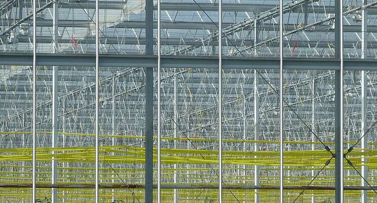 Greenhouse construction start possible in 2022 Greenhouse construction start possible in 2022