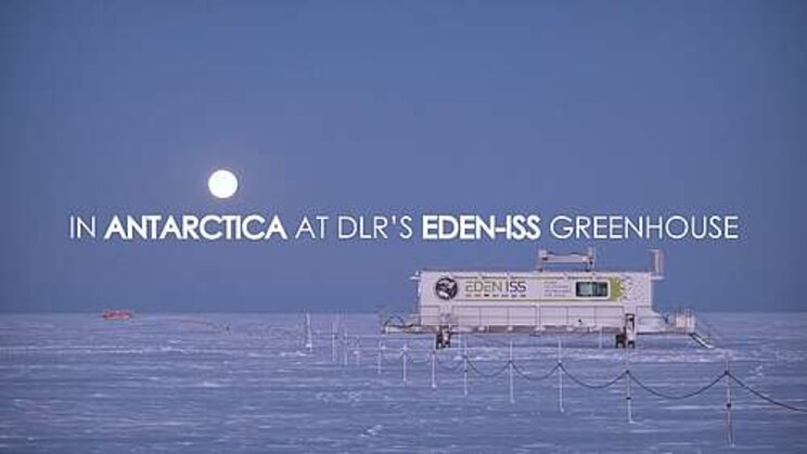 Plant scientist harvests success in an Antarctic greenhouse Plant scientist harvests success in an Antarctic greenhouse
