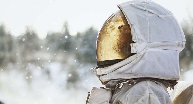 Terrestrial fungus may be key to farming in space Terrestrial fungus may be key to farming in space