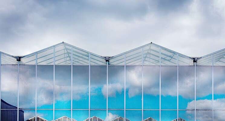Greenhouse horti sector: keep leading in sustainability! Greenhouse horti sector: keep leading in sustainability!