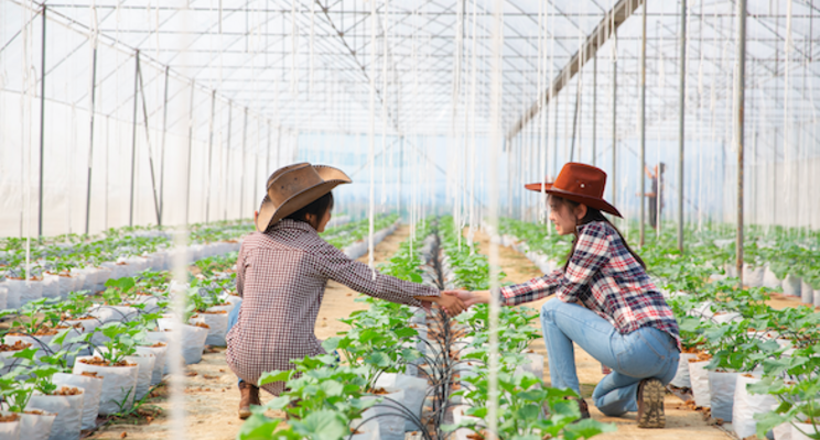 How to be a more effective leader at your greenhouse company How to be a more effective leader at your greenhouse company
