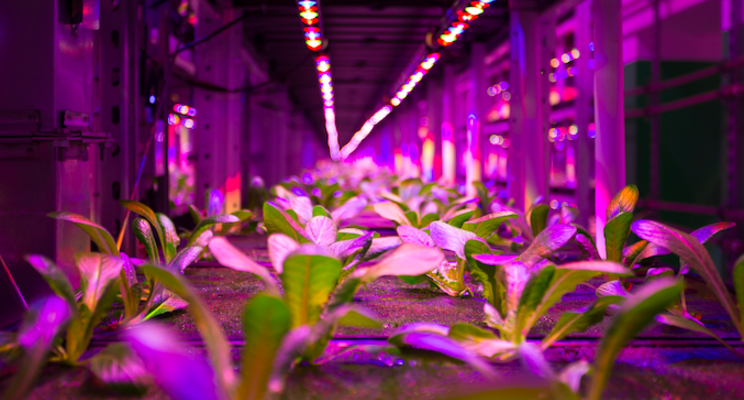 Future Crops brings vertical farming closer to the land Future Crops brings vertical farming closer to the land