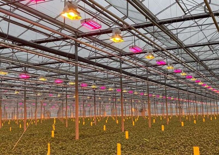 New LED lighting and ventilation for Van Geel New LED lighting and ventilation for Van Geel