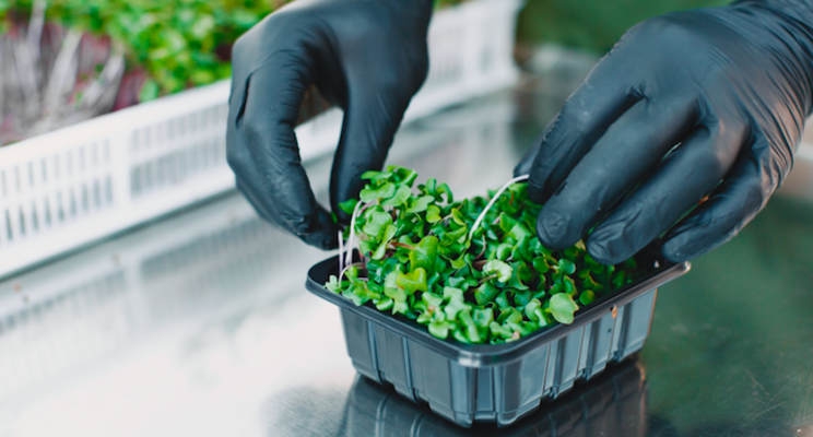 GoodLeaf moves to sustainable BioPET packaging GoodLeaf moves to sustainable BioPET packaging