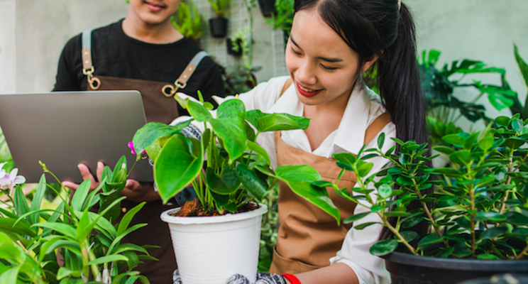 Webinar to address consumer houseplant purchasing trends Webinar to address consumer houseplant purchasing trends