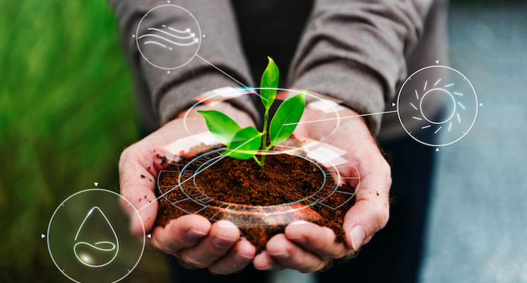 Using optical sensors and AI to optimise food production Using optical sensors and AI to optimise food production