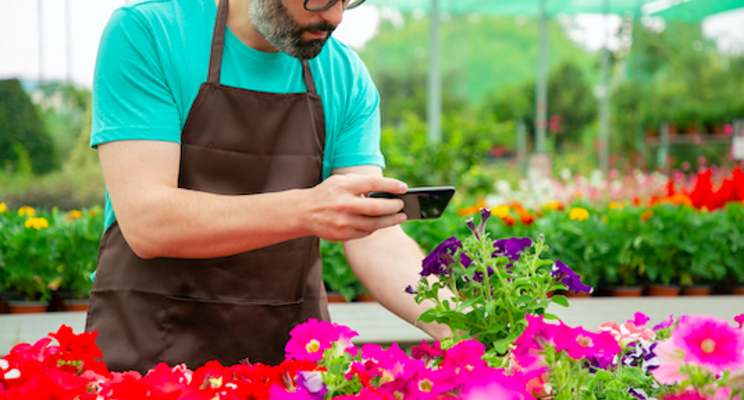 How to keep up with the shifting Nexus of plant retail How to keep up with the shifting Nexus of plant retail