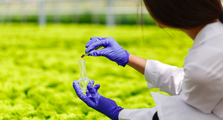 First dicamba-resistant waterhemp reported in Illinois First dicamba-resistant waterhemp reported in Illinois